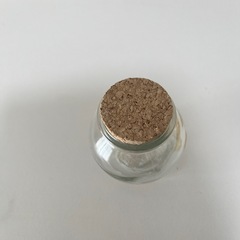 幸運を呼ぶ⁉️ケサランパサランの画像