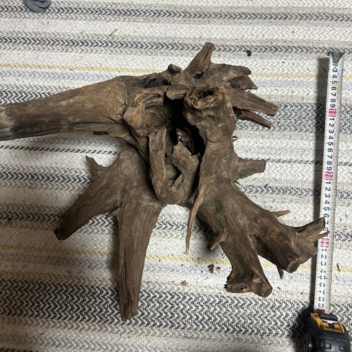 アクアリウム用流木