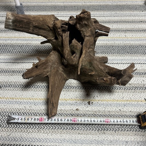 アクアリウム用流木