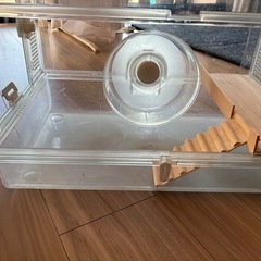 ハムスター飼育セットの画像