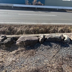 庭石、お好きなだけどうぞの画像