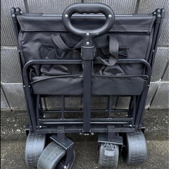 キャリーワゴンの画像