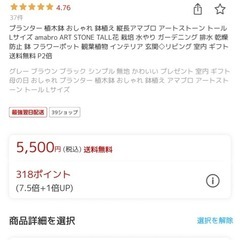 植木鉢　Lサイズの画像