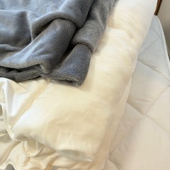 ニトリ　布団セットの画像