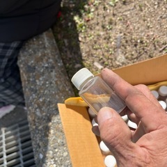 サンプリング容器の画像