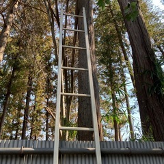 アルミ製梯子の画像