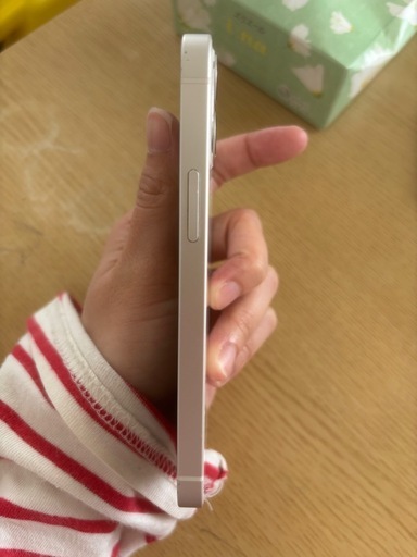 iPhone12mini再受付