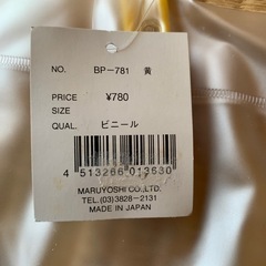 ピカチュウ/ポケットモンスター/ビーチバック/平成レトロ/任天堂の画像