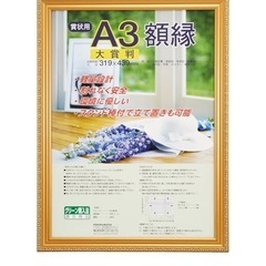 【3枚セット】ナカバヤシ A3 軽量額縁（賞状・大賞判）金ケシ スタンド付き額縁の画像