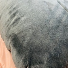 ゴクミンすっぽり包まれ枕の画像