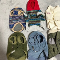 犬服　SS,S 11点　鎌倉ドッグ、カインズ、ダイソーの画像