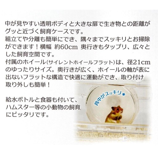 ルーミィ60 グランスペース　クリアー_2