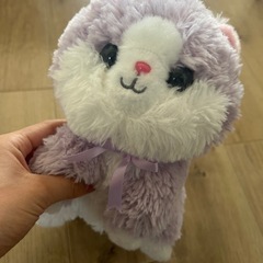 こねこのお医者さんの画像