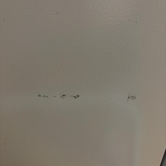 2019年製 117L 冷蔵庫 YAMADA 一人暮らし向け【すぐ使えます】の画像