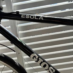 
GIOS ESOLA の画像