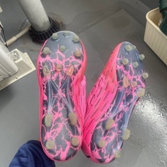 スパイク29センチの画像