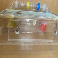 ハムスター　お家セットの画像