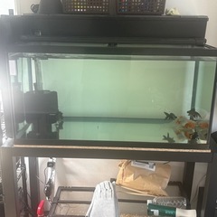 90センチ水槽の画像