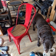 オーサムストア　椅子の画像