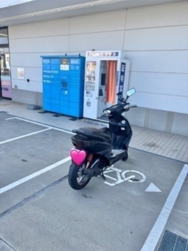 シグナス