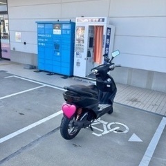 シグナスの画像