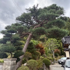 ‼️日当15000‼️当日現金渡し‼️林業・造園スタッフ募集🌿の画像