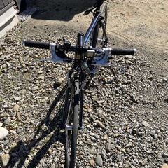 ビアンキ　紺色の画像