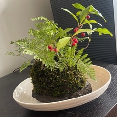 浅間石　庭石の画像