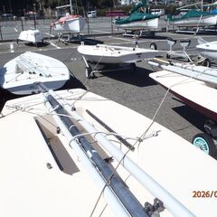 レーザー・シーホッパー　の画像