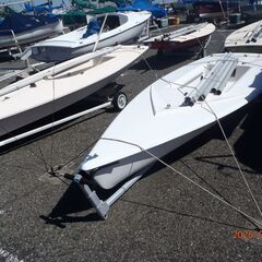 レーザー・シーホッパー　の画像