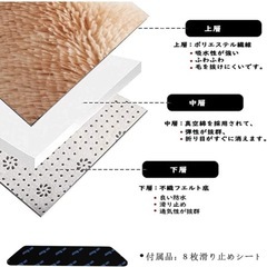 ジュータン、ラグの画像