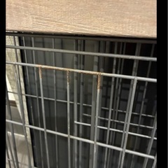 ゲージ　三月末処分予定の画像