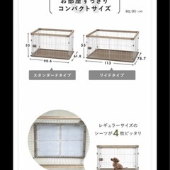 ゲージ　三月末処分予定の画像