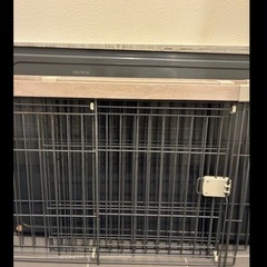 ゲージ　三月末処分予定の画像