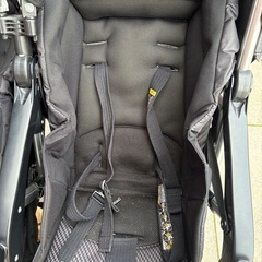 双子用ベビーカーの画像