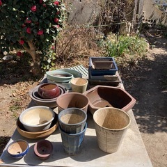 植木鉢  その②の画像