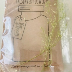 【新品未開封】株式会社ポピー DYS-0016 プリザーブドフラワー　６個セット手芸　ハンドメイド　ハーバリウム　インテリアなどにの画像