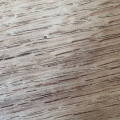 無印良品のこたつ　ローテーブルの画像