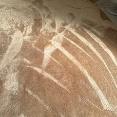 決まりました‼️3畳用センターラグ　カーペット　絨毯の画像