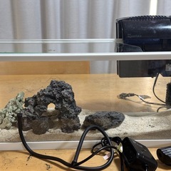 ＊水槽2個セット＊の画像