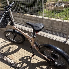 COGHORN OCTAGON
 カゴ付自転車 20インチ  マットサンドの画像