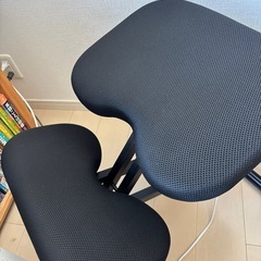 ニトリ　姿勢サポート　バランスチェアの画像