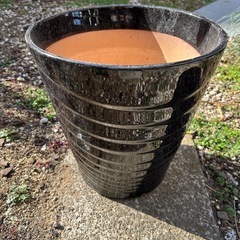 陶器植木鉢差し上げますの画像