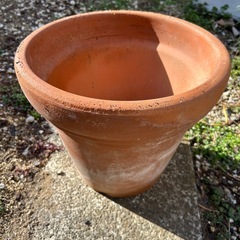陶器植木鉢差し上げますの画像