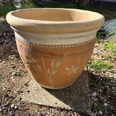 陶器植木鉢差し上げますの画像