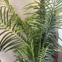 観葉植物　アレカヤシ　造花の画像