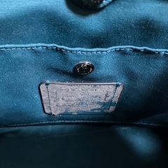 coach バッグの画像