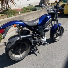 ストリートマジックの画像