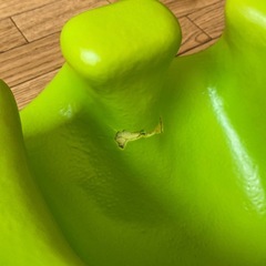 バンボ差し上げます。の画像