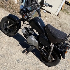 モンキーz 50J 12v    通勤､通学の画像